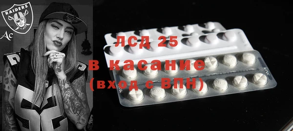 индика Белокуриха