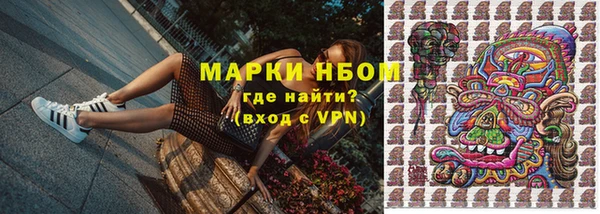 индика Белокуриха