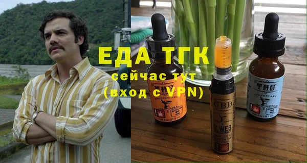 индика Белокуриха