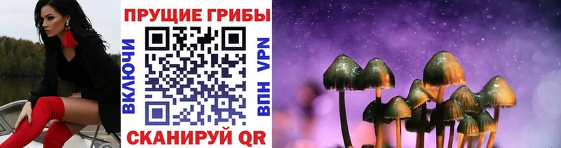 hydra как зайти  купить наркоту  Бобров  Галлюциногенные грибы прущие грибы 